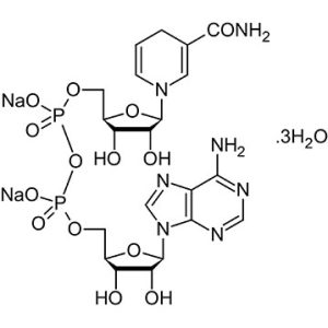 Nicotinamide Adenine Dinucleotide Hydride