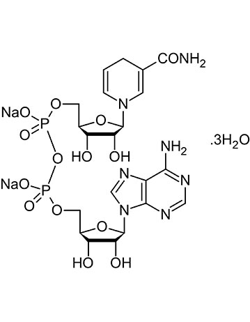 Nicotinamide Adenine Dinucleotide Hydride